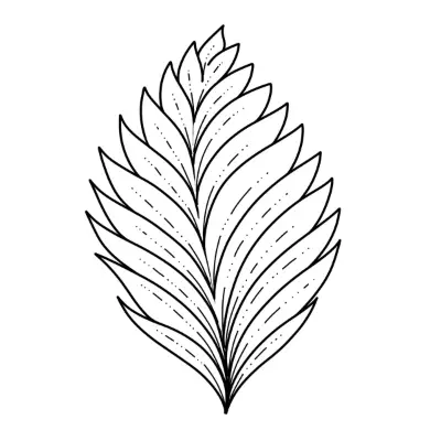 How to Draw Leaf Vines : Step by Step for Beginners - JeyRam Drawing  Tutorials